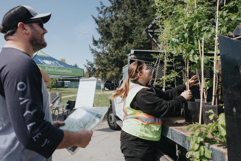 city employee giving a free tree to a resident